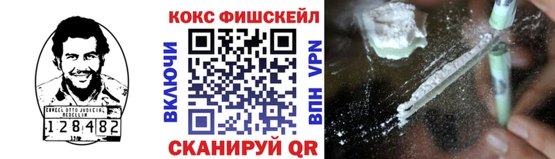 shop формула  Юрга  COCAIN VHQ 