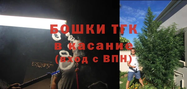 мет Алексин