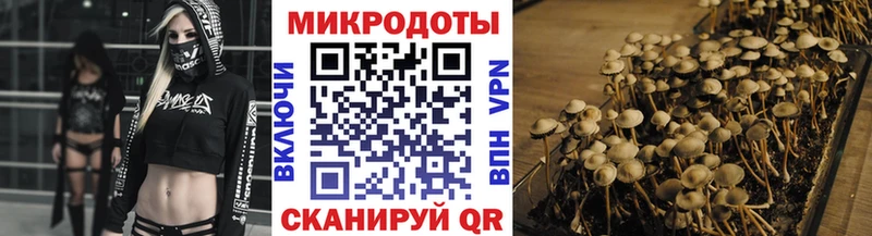 Галлюциногенные грибы мухоморы  Юрга 